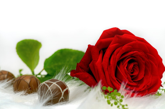 Chocolates and flowers on holidays like Valentines Day tend to get old. 