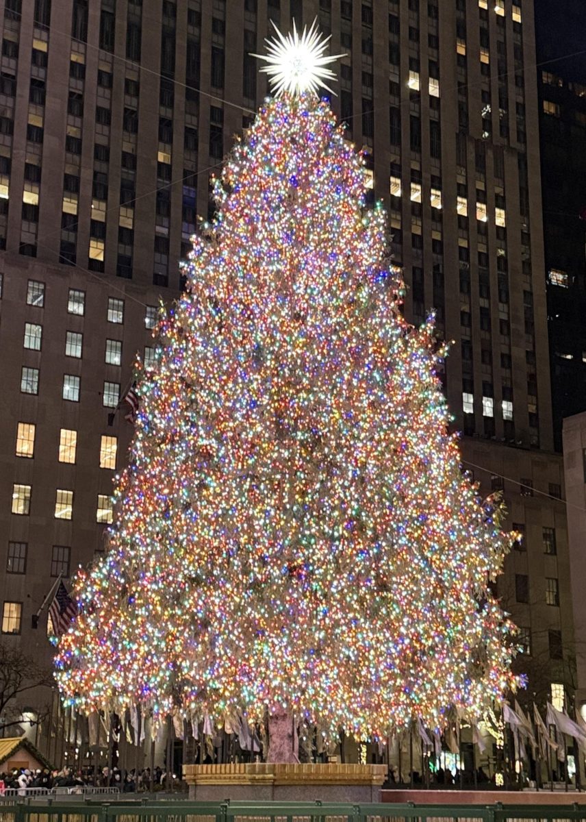 The 2024 Rockefeller Center Christmas tree.