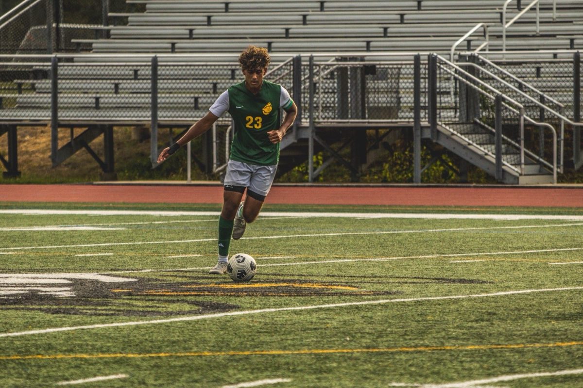 Sakrikar mid kick